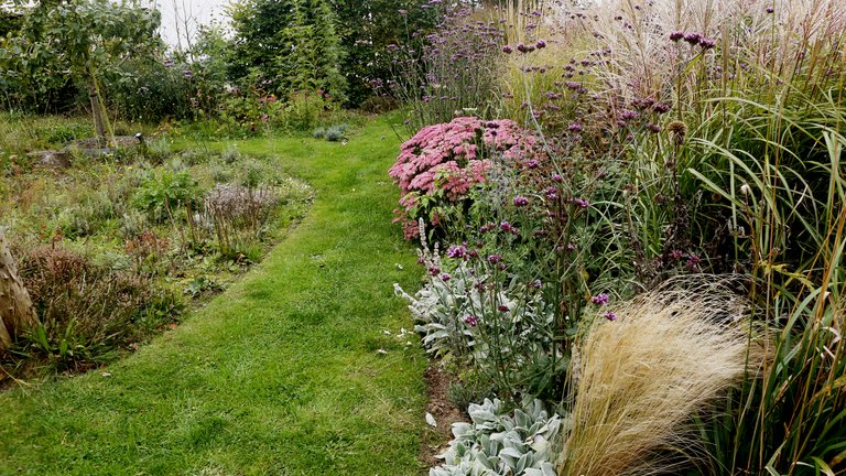 Vilde haver i Hjørring: Se hvordan Ditte og Lises haver blomstrer i vildskab