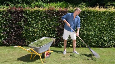 Hvilken hæk skal du vælge?