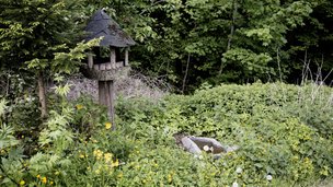 Have med biodiversitet