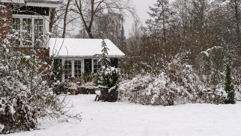 vinterhave med sne