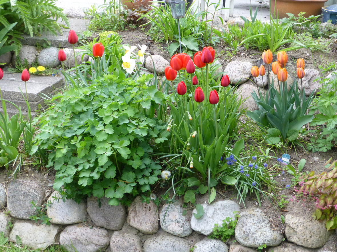 Kant af sten rundt om blomsterbed