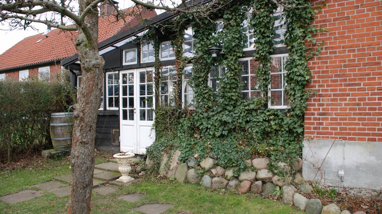 Kan klatreplanter skade facaden?