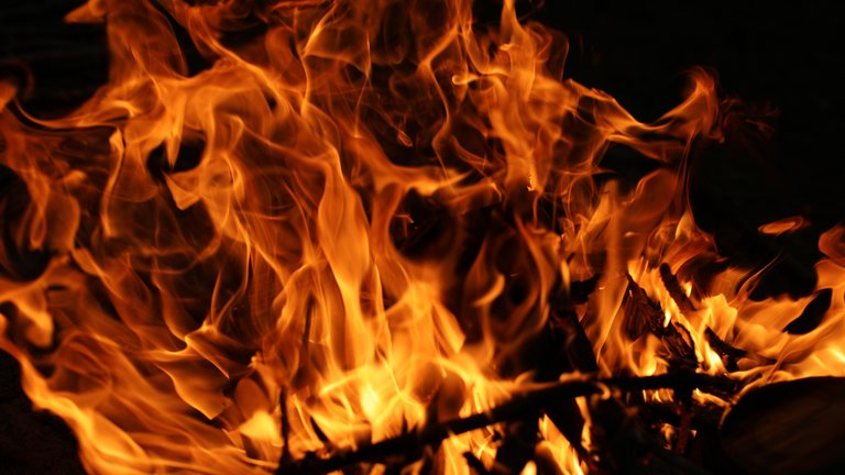 5 gode råd: Sådan undgår du brand i tørken