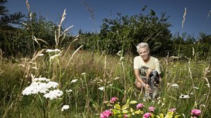 Lene Beiers vilde have