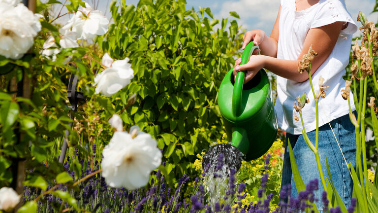 Pige vander blomster i have