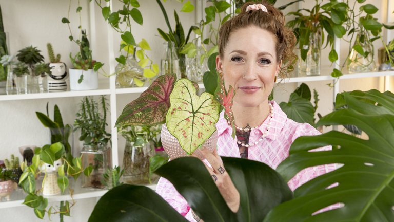 Bidt af planter: Stinne har 300 planter i sin 4-værelses lejlighed