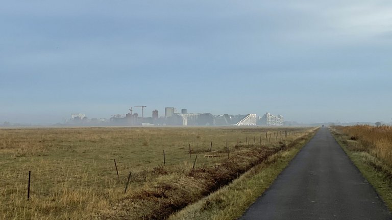 Den grå storby er også klimavenlig