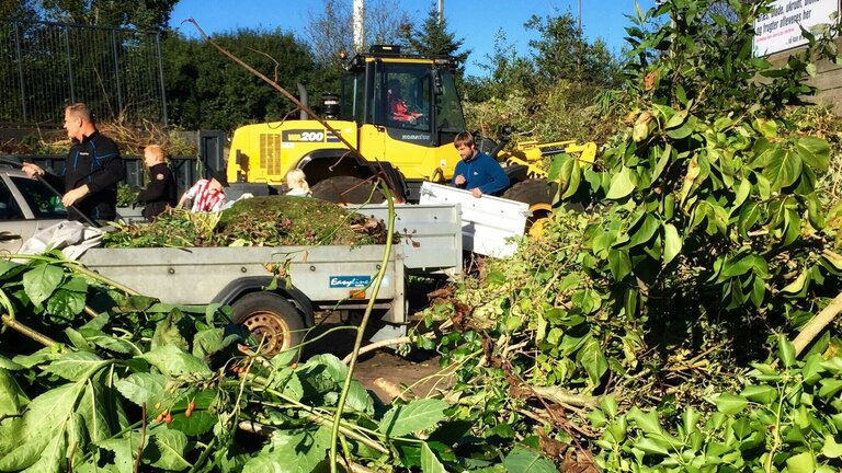 Haveaffald, afskårne grene og blade