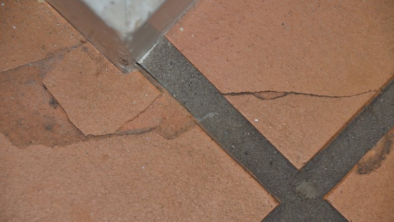 Guide til typiske skader på gulve