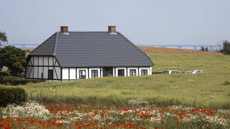 Vi drømmer om landlig idyl – men det bliver oftest ved drømmen
