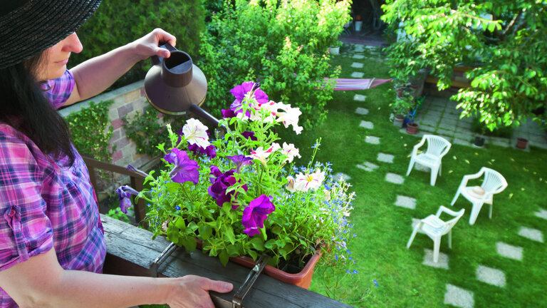 spar på vandet i haven