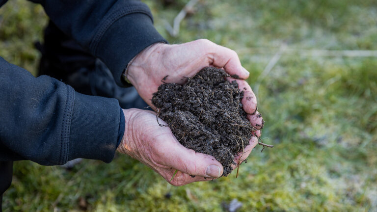 PFAS-forurenet jord i kolonihaveforeningen Rundingen i Korsør