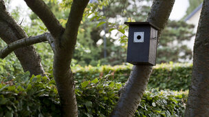 Indret din have i etager og tiltræk langt flere fugle